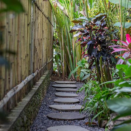 Alam Pracetha Bali Ubud Ngoại thất bức ảnh